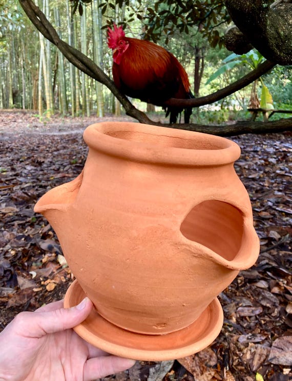 TERRACOTTA STRAWBERRY POT
