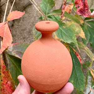FRENCH WATERING BELL #01. Small terracotta pot for gentle watering of houseplants. Handmade.