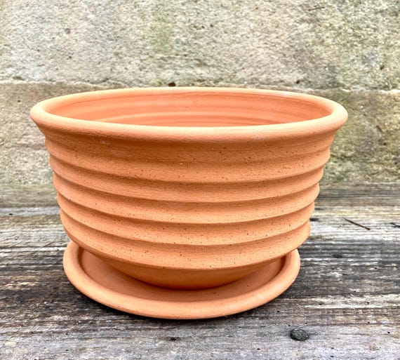 TERRACOTTA FLOWER POT