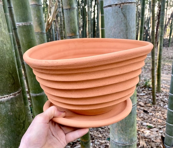 TERRACOTTA FLOWER POT