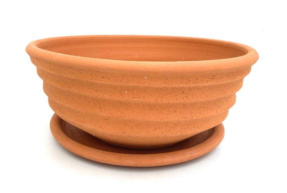 TERRACOTTA FLOWER POT