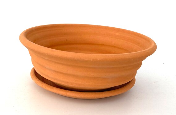 TERRACOTTA FLOWER POT