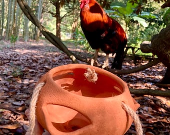 HANGING STRAWBERRY POT #12. Terracotta clay flowerpot for succulents, herbs, houseplants.