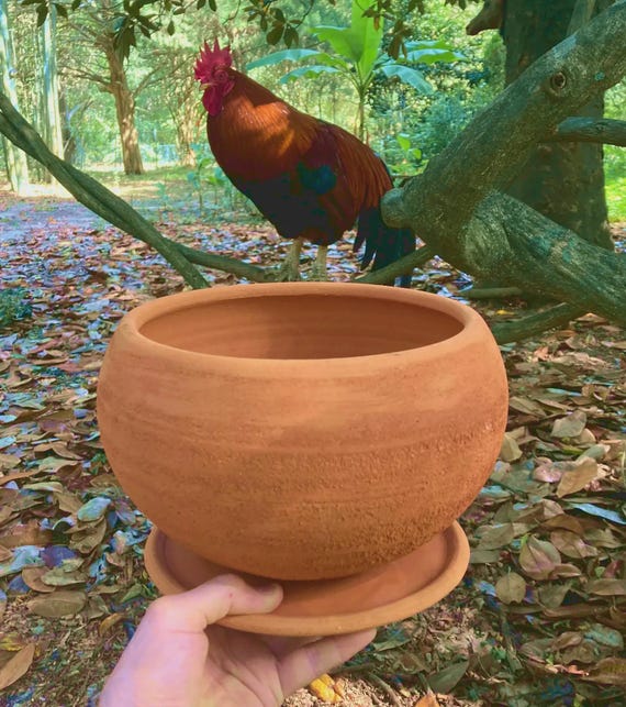 TERRACOTTA FLOWER POT