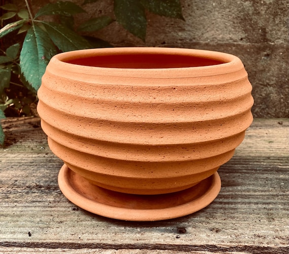 TERRACOTTA FLOWER POT