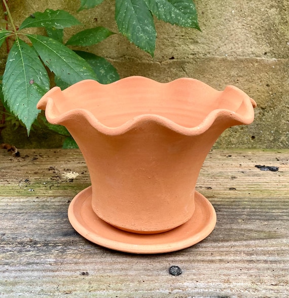 TERRACOTTA FLOWER POT