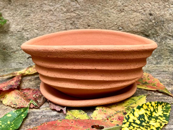 TERRACOTTA FLOWER POT