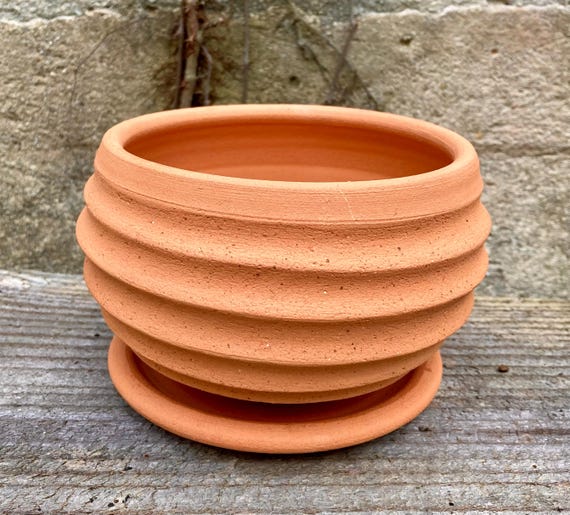 TERRACOTTA FLOWER POT