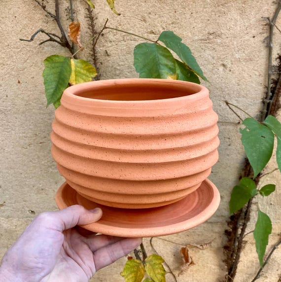 TERRACOTTA FLOWER POT