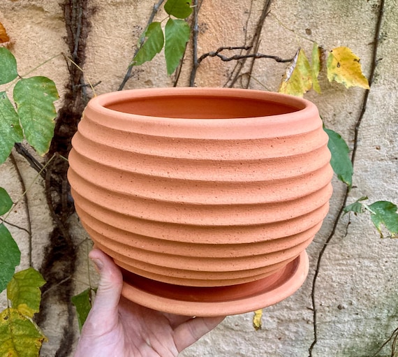 TERRACOTTA FLOWER POT