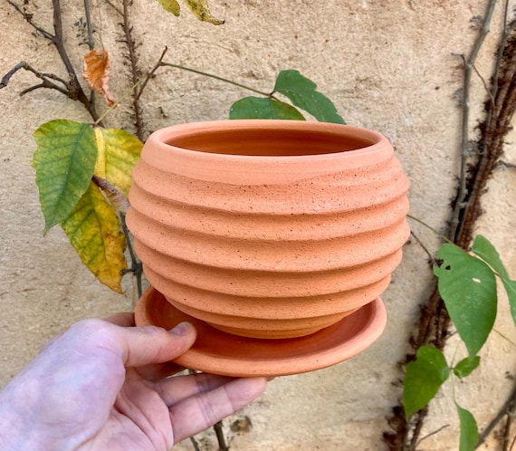 TERRACOTTA FLOWER POT