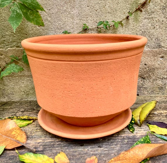 TERRACOTTA FLOWER POT