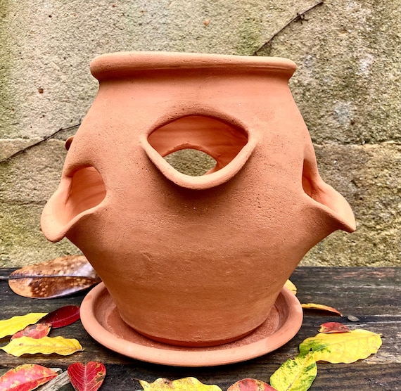 TERRACOTTA STRAWBERRY POT