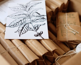 Custom Coffee Wedding Favors  Set of 50. Bridal shower, corporate gift.