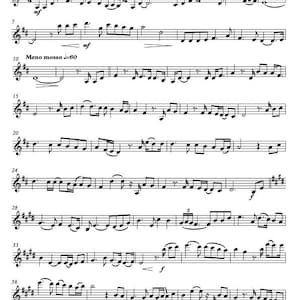You Raise Me Up String Quartet Sheet Music | 2 Violins Viola Cello