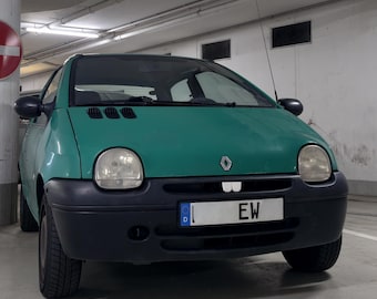 Renault Twingo 1 (C06) Teeth - 3D Printed