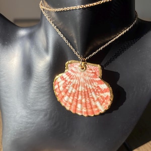 May include: A gold-toned necklace featuring a pendant made from a seashell. The shell has a red and white striped pattern and is framed with gold. The necklace is displayed on a black mannequin.