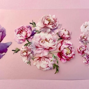 PET-tape roze pioenrozen | Monster 180 cm | Washi-tape | Knutselgek | Stickers voor journaling, scrapbooking en collage | Bloemen