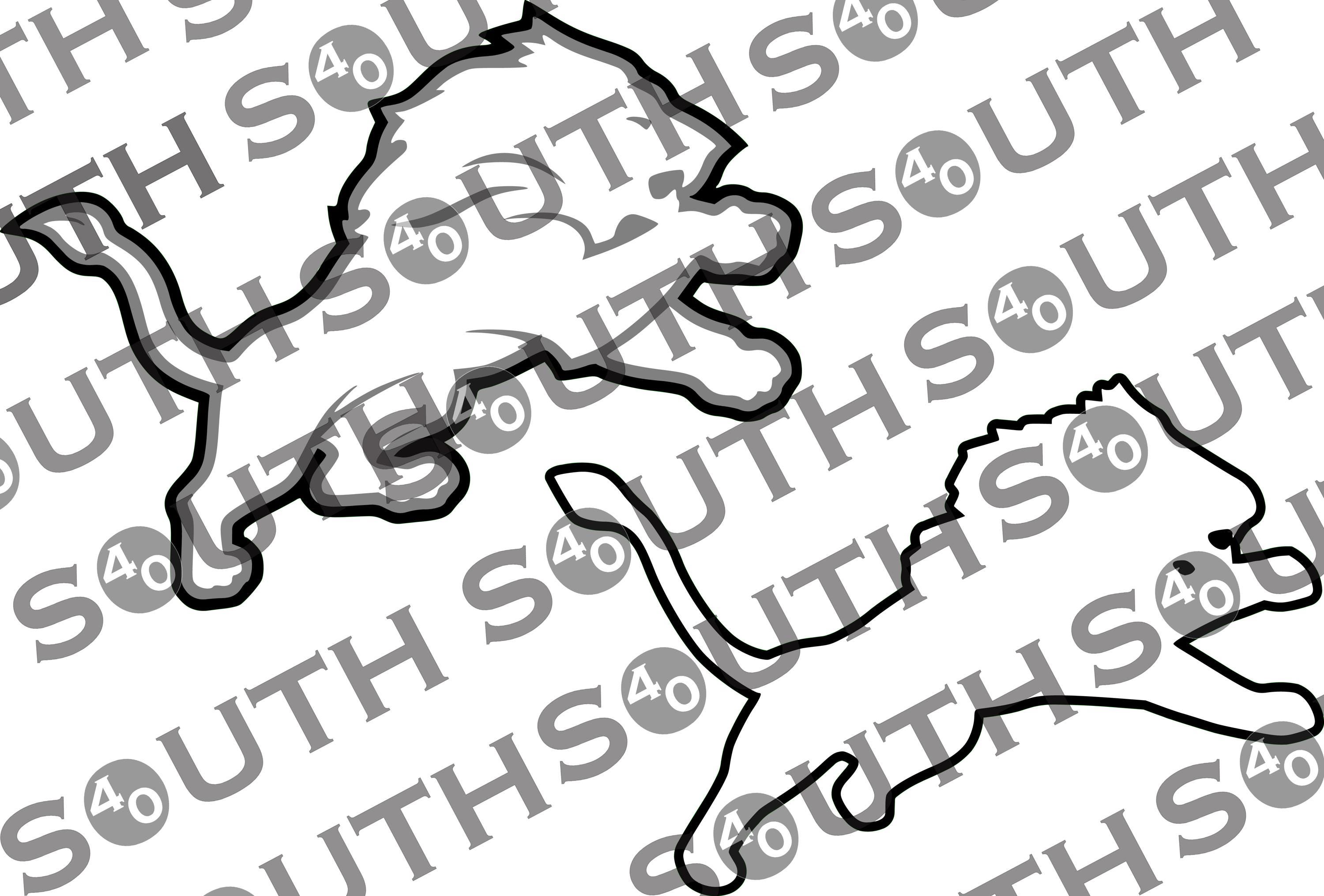 LIONS SVG FILE