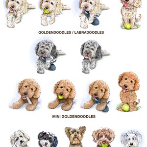 May include: A collage of illustrations of different dog breeds, including Golden Retrievers, Labradoodles, and Shih Tzus. The dogs are depicted in various poses, some holding toys or balls. The text "THE PLAYFUL PUPS BREEDS (continued)" is at the top of the image. The text "GOLDENDOODLES/LABRADOODLES" is below the first row of dogs. The text "MINI GOLDENDOODLES" is below the second row of dogs. The text "SHIH TZU's" is below the third row of dogs. The text "YORKSHIRE TERRIER" is below the fourth row of dogs. The text "YORKIE POO" is below the fourth row of dogs. The text "MALTESE" is below the fourth row of dogs.