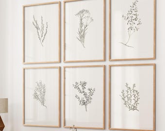 Oeuvres d'art botaniques vintage : décoration murale rustique neutre, lot de 6