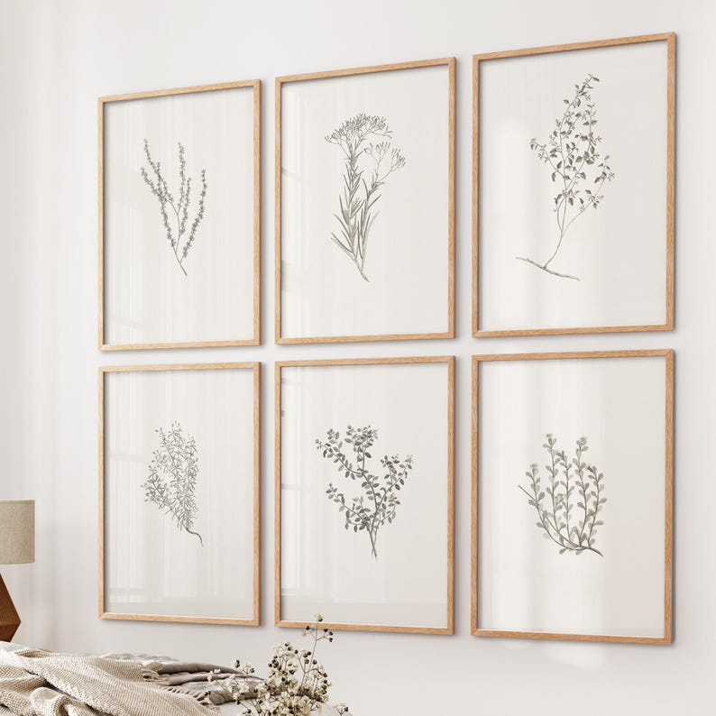 K&ouml;nnte beinhalten: Sechs gerahmte botanische Drucke mit Illustrationen verschiedener Blattarten in Graut&ouml;nen auf wei&szlig;em Hintergrund.