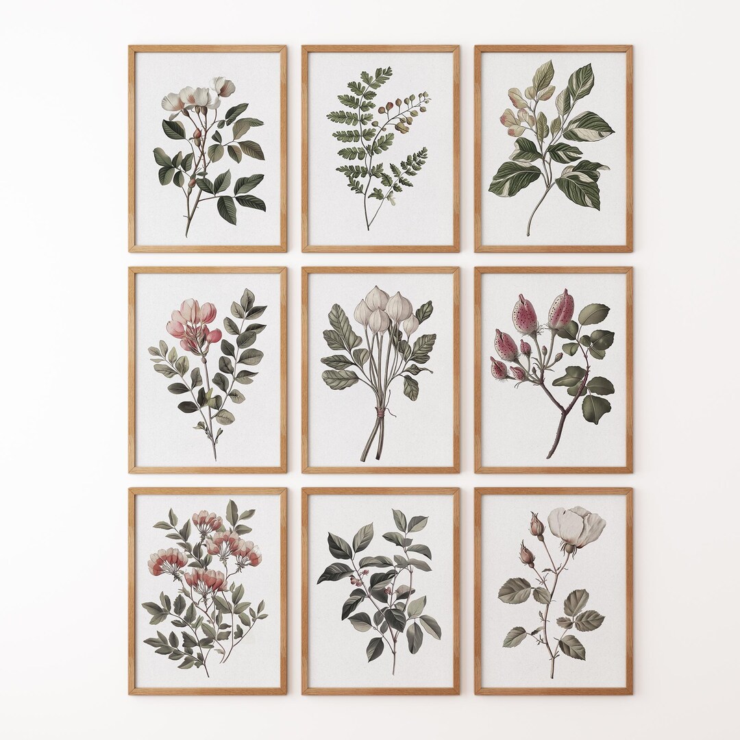 Floral Botanical Print Set: Vintage Watercolor Gallery Wall Art - Etsy