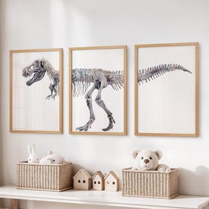 May include: Three framed watercolor prints of dinosaur skeletons in a child's room. The artwork features a T-Rex skeleton in shades of gray and brown. The frames are light brown. Baskets with stuffed animals and wooden houses are on a white shelf below.