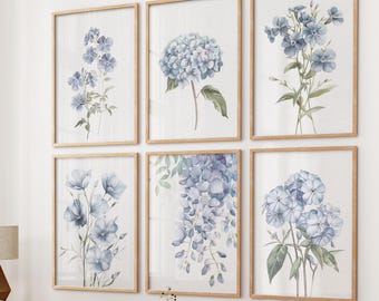 Ensemble d'impressions florales bleues : hortensias botaniques muraux