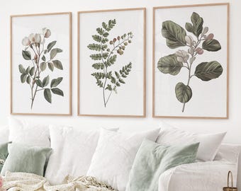 Vintage Botanical set of 3 Prints, Rustic Wall Decor, Flower Art Posters, Neutral Botanical Wall Art, Farm House Decor, Living Room Prints
