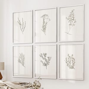 K&ouml;nnte beinhalten: Satz von sechs wei&szlig;en gerahmten botanischen Drucken mit verschiedenen Arten von grauem und wei&szlig;em Laub.