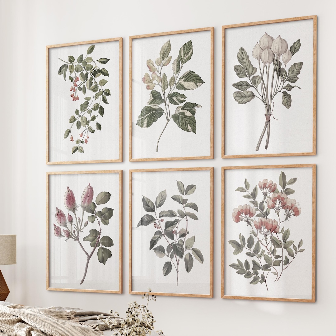 Botanical Wall Art Set of 6: Vintage Floral Giclée Prints - Etsy