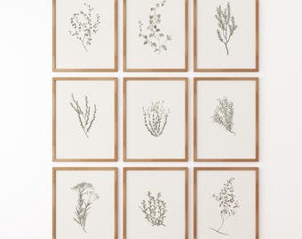 Vintage Botanical Prints Set: Rustic Home Decor ( Set of 9 )
