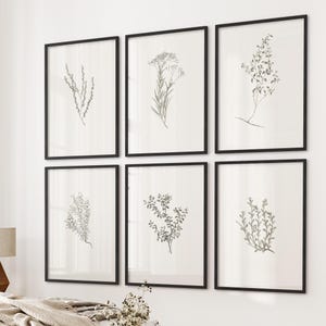K&ouml;nnte beinhalten: Ein Satz von sechs schwarzen gerahmten Drucken mit botanischen Illustrationen verschiedener Gr&uuml;npflanzen. Die Drucke sind in einem Rastermuster an einer wei&szlig;en Wand angeordnet.