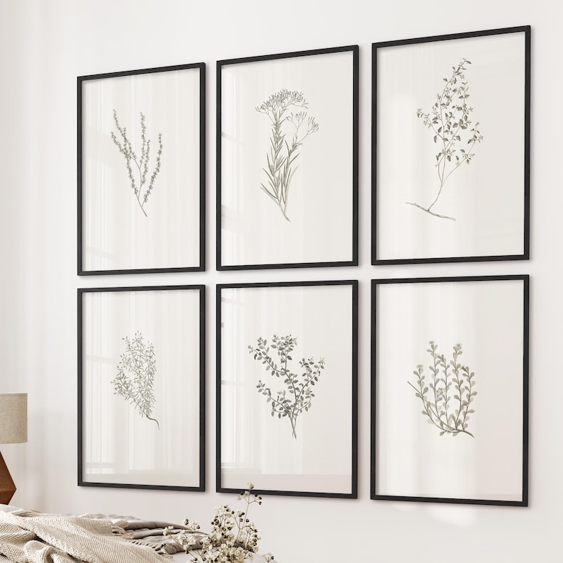 K&ouml;nnte beinhalten: Ein Satz von sechs schwarzen gerahmten Drucken mit botanischen Illustrationen verschiedener Gr&uuml;npflanzen. Die Drucke sind in einem Rastermuster an einer wei&szlig;en Wand angeordnet.