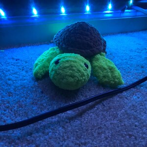 schildpad