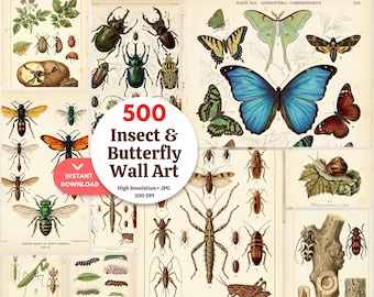 500+ Vintage Entomology Prints Bundle | Printable Insect & Butterfly Wall Art | Instant Download