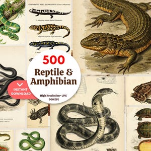 Op de afbeelding: Een verzameling wetenschappelijke illustraties in vintage-stijl met diverse reptielen en amfibieën, waaronder slangen, hagedissen, salamanders, kikkers en schildpadden. De centrale cirkelvormige tekst luidt 500 Reptile & Amphibian, Instant Download, High Resolution, JPG, 300 DPI.