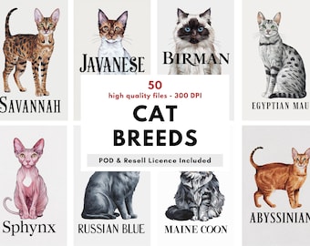 Lot de 50 oeuvres d'art murales à imprimer, races de chats, prêtes à imprimer, posters de félins