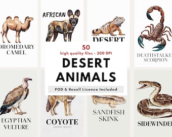 50 Desert Animals Clipart Bundle | Wildlife Illustration Prints | Educational Wall Art Posters | Digital Download