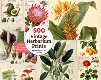500 Vintage Herbarium Wall Art Bundle | Botanical Prints | Instant Download