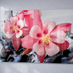 Original Glass Wall Art 'Pink Columbine Fantasy' Floral Photography Pink Black Photo Alcohol Ink Statement Piece New Home Office Art Flower