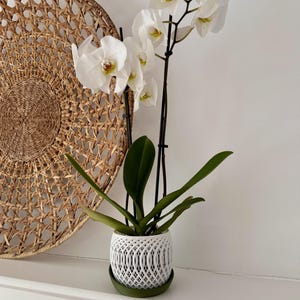 May include: A white orchid plant in a decorative white pot with a green saucer. The orchid has multiple white flowers with yellow centers and long green leaves. A woven wall hanging is in the background.