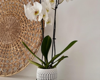 3D Printed Orchid Planter, Airflow Orchid Pot with Drainage Tray, Custom Color Orchid Pot, Breathable Orchid Planter, Indoor Plant Pot