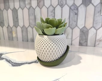 3D Printed Planter Pot with Tray: Lattice Boho Decor