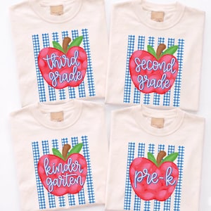 Striped Back to School Apple Shirt, Pre-K To Fourth Grade Matching T-shirt, Blue Gingham Stripes All Grades Tee