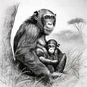 Chimpanzee Portrait | Monkey line art | JPG images | wildlife art | Monkey Images | Primate Images | African | animals | digital download,