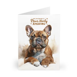 5er Pack Französische Bulldogge Geburtstagskarte Variety Pack - 5er Set Grußkarten, niedliches Frenchie Design, Hundeliebhaber Geschenk, Tierliebhaber Briefpapier