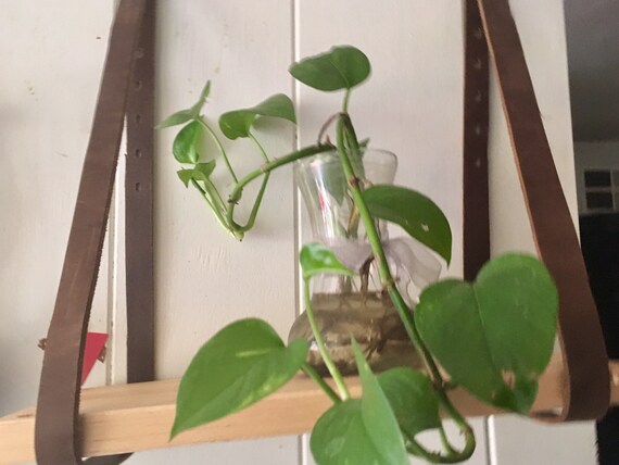 Hanging Shelves Planter Hanging Planter Bathroom Wall Etsy