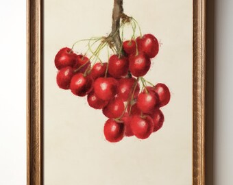 Cherry Wall Art Print, Red Fruit Botanical Digital Download,Rustic Kitchen Decor, Vintage-Inspired Farmhouse Fruit Drawing, TimprintsStudio